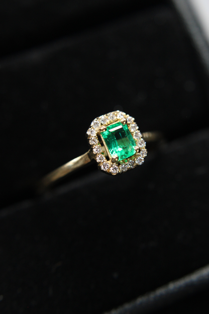 ANILLO HALO ll