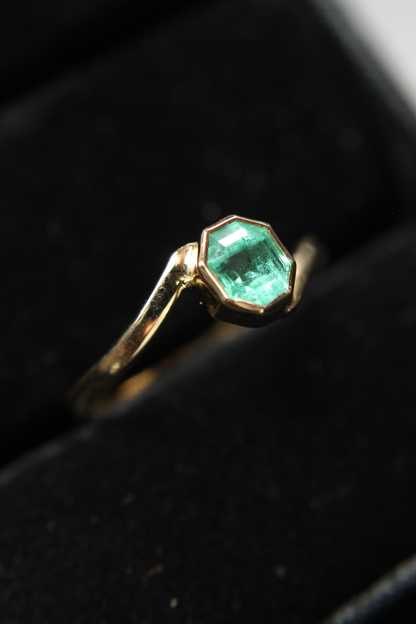ANILLO TRILL